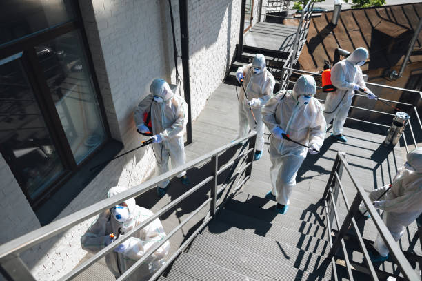 Best Comprehensive Air Testing for Mold Contaminants  in Cave Creek, AZ