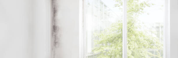 Best Indoor Air Quality Assessment  in Cave Creek, AZ